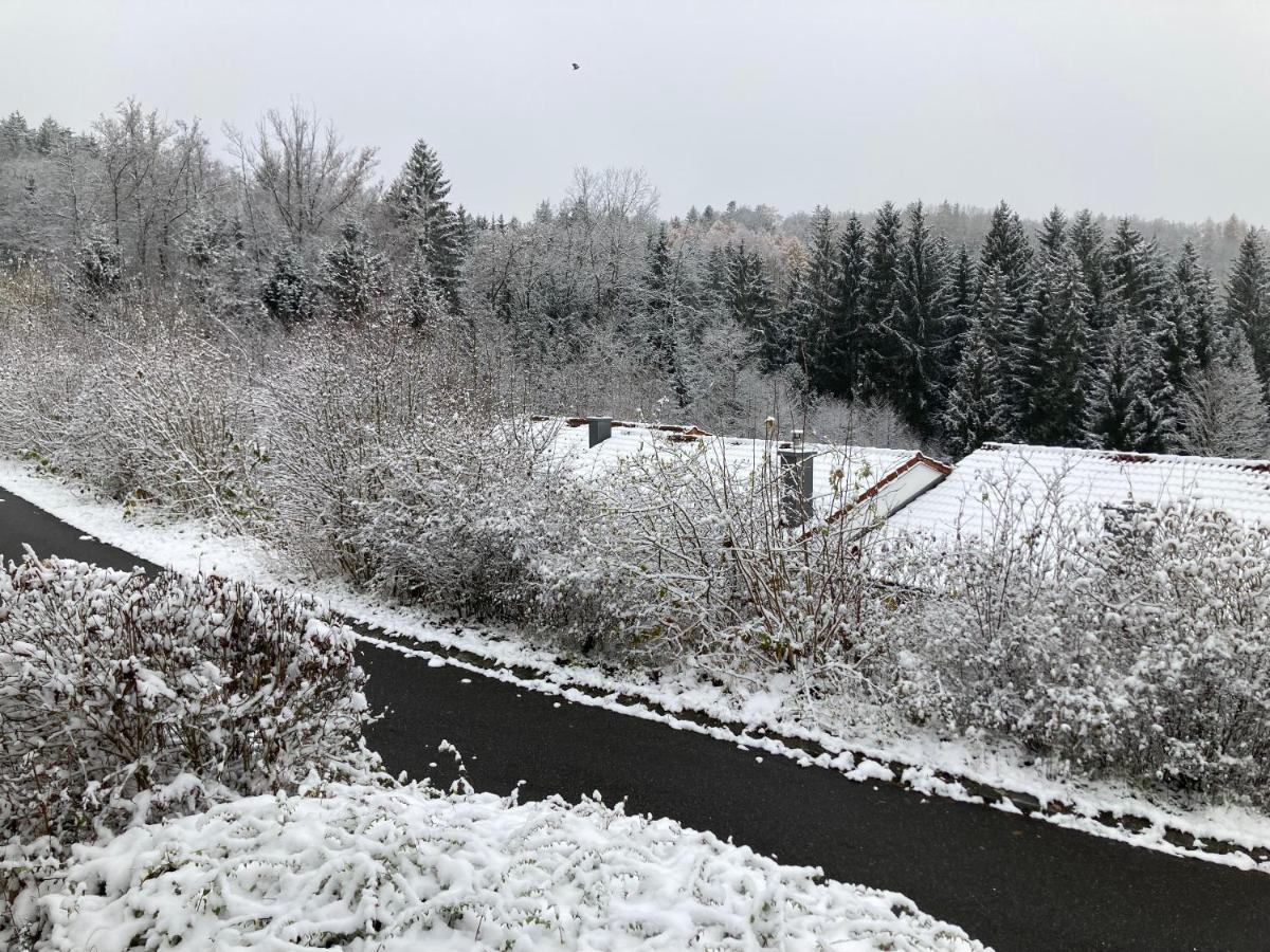 Ferienhaus Brandt Im Ferienpark Falkenstein Falkenstein  Eksteriør bilde