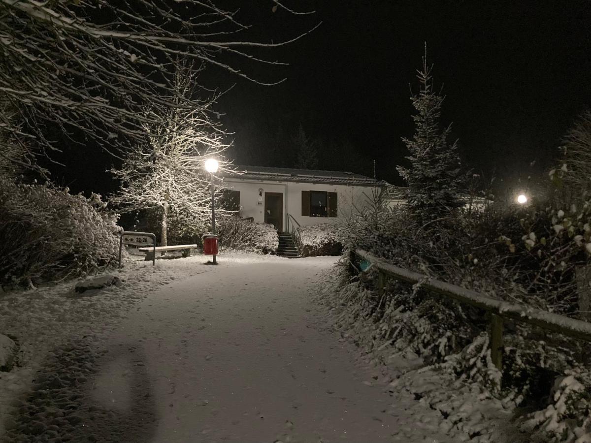Ferienhaus Brandt Im Ferienpark Falkenstein Falkenstein  Eksteriør bilde